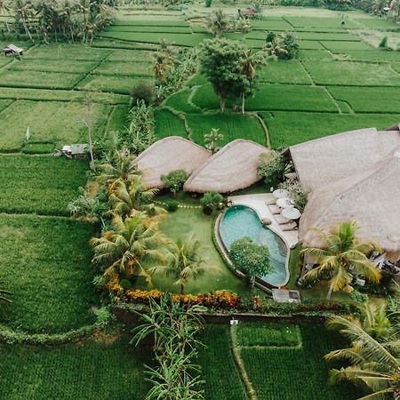 Villa Omah Padi Ubud Exterior photo