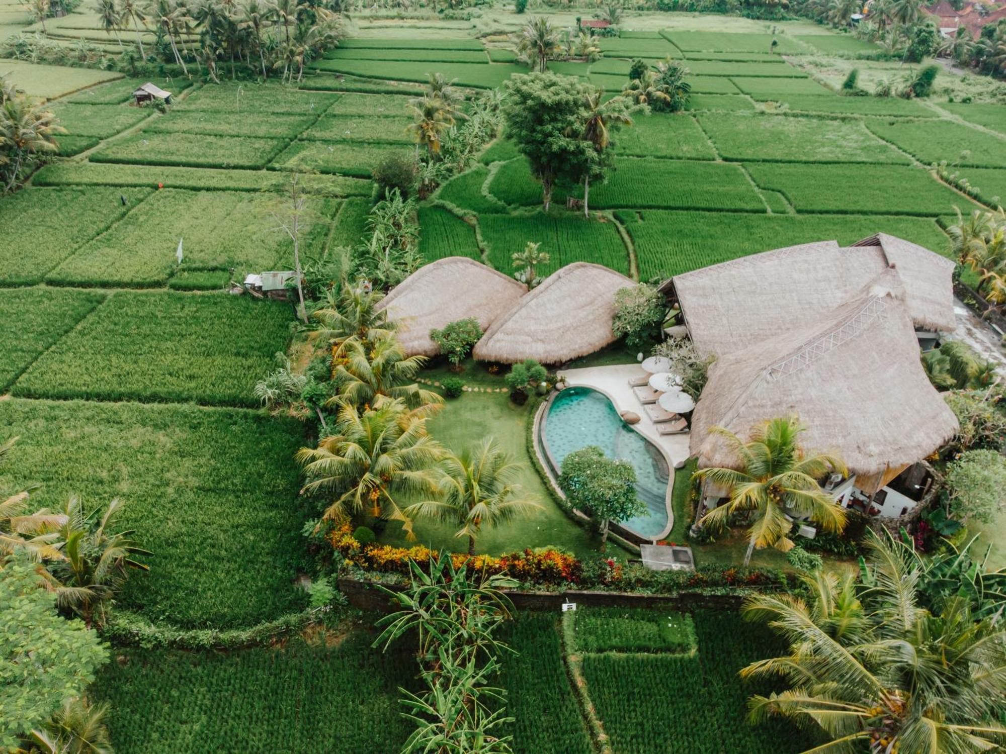 Villa Omah Padi Ubud Exterior photo
