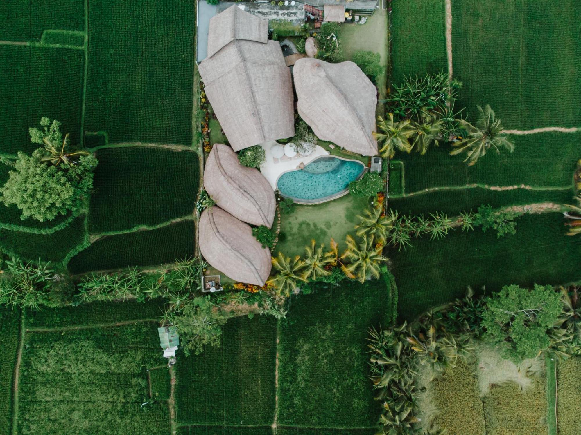 Villa Omah Padi Ubud Exterior photo